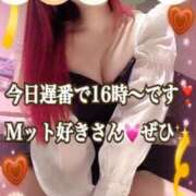 ヒメ日記 2025/02/21 12:34 投稿 かれん ロイヤルヴィトン(宇都宮)