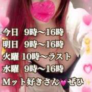 ヒメ日記 2025/02/23 09:25 投稿 かれん ロイヤルヴィトン(宇都宮)