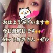 ヒメ日記 2025/02/26 09:01 投稿 かれん ロイヤルヴィトン(宇都宮)