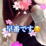 ヒメ日記 2025/04/20 09:24 投稿 かれん ロイヤルヴィトン(宇都宮)