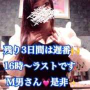 ヒメ日記 2025/05/26 15:55 投稿 かれん ロイヤルヴィトン(宇都宮)