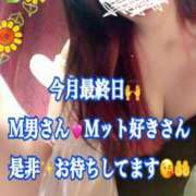 ヒメ日記 2025/05/28 16:56 投稿 かれん ロイヤルヴィトン(宇都宮)