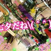 ヒメ日記 2025/07/07 19:15 投稿 かれん ロイヤルヴィトン(宇都宮)