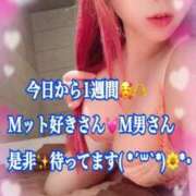 ヒメ日記 2025/07/20 20:58 投稿 かれん ロイヤルヴィトン(宇都宮)