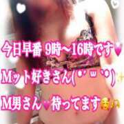 ヒメ日記 2025/09/06 09:08 投稿 かれん ロイヤルヴィトン(宇都宮)