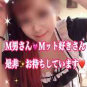 ヒメ日記 2025/10/16 10:13 投稿 かれん ロイヤルヴィトン(宇都宮)