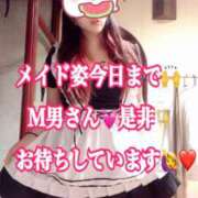 ヒメ日記 2025/10/16 18:02 投稿 かれん ロイヤルヴィトン(宇都宮)