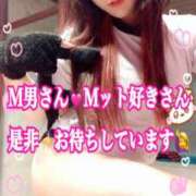 ヒメ日記 2025/10/25 18:03 投稿 かれん ロイヤルヴィトン(宇都宮)