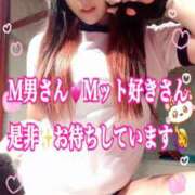 ヒメ日記 2025/10/29 20:47 投稿 かれん ロイヤルヴィトン(宇都宮)