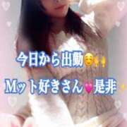 ヒメ日記 2025/11/19 10:16 投稿 かれん ロイヤルヴィトン(宇都宮)