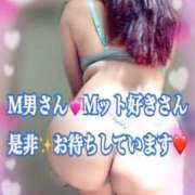 ヒメ日記 2025/11/20 18:02 投稿 かれん ロイヤルヴィトン(宇都宮)