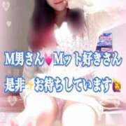 ヒメ日記 2025/11/24 10:01 投稿 かれん ロイヤルヴィトン(宇都宮)