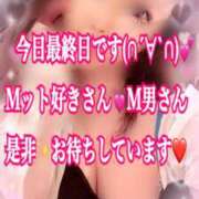 ヒメ日記 2025/12/30 10:04 投稿 かれん ロイヤルヴィトン(宇都宮)