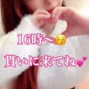 ヒメ日記 2026/02/15 10:02 投稿 かれん ロイヤルヴィトン(宇都宮)