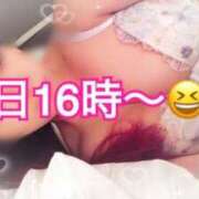 ヒメ日記 2026/04/24 12:19 投稿 かれん ロイヤルヴィトン(宇都宮)