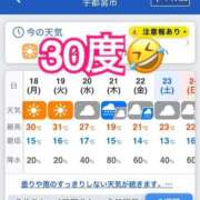 ヒメ日記 2026/05/18 16:49 投稿 かれん ロイヤルヴィトン(宇都宮)