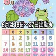 ヒメ日記 2026/06/07 23:29 投稿 かれん ロイヤルヴィトン(宇都宮)