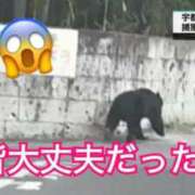 ヒメ日記 2026/06/09 16:09 投稿 かれん ロイヤルヴィトン(宇都宮)