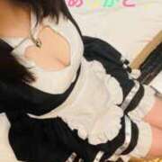 いずみ ダックス奮闘さまへ LOVE CLOVER（らぶくろーばー）