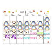 ヒメ日記 2025/11/20 12:00 投稿 おとは クラブハートDX