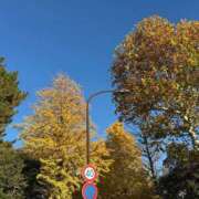 ヒメ日記 2025/12/01 06:30 投稿 おとは クラブハートDX