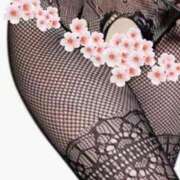 えり先生 お花見 Part２(*´∀｀*) 渋谷   大人の幼稚園