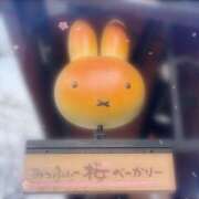 ヒメ日記 2025/02/27 03:02 投稿 りおな ミルキーウェイ（近江八幡）