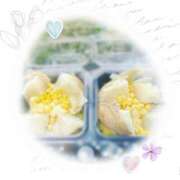 ヒメ日記 2025/04/14 23:08 投稿 りおな ミルキーウェイ（近江八幡）