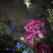 ヒメ日記 2025/05/17 02:05 投稿 りおな ミルキーウェイ（近江八幡）