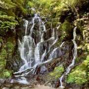 ヒメ日記 2025/06/14 04:22 投稿 りおな ミルキーウェイ（近江八幡）