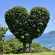 ヒメ日記 2025/06/17 02:39 投稿 りおな ミルキーウェイ（近江八幡）