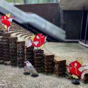 ヒメ日記 2025/07/12 03:00 投稿 りおな ミルキーウェイ（近江八幡）