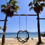 ヒメ日記 2025/07/27 02:52 投稿 りおな ミルキーウェイ（近江八幡）