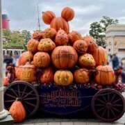 ヒメ日記 2025/10/16 03:36 投稿 りおな ミルキーウェイ（近江八幡）