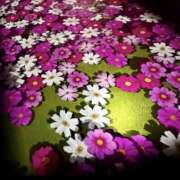 ヒメ日記 2025/11/09 02:10 投稿 りおな ミルキーウェイ（近江八幡）