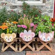 ヒメ日記 2025/11/23 03:32 投稿 りおな ミルキーウェイ（近江八幡）