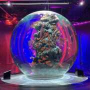 ヒメ日記 2026/08/02 02:13 投稿 りおな ミルキーウェイ（近江八幡）