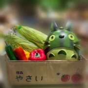 ヒメ日記 2026/08/09 03:32 投稿 りおな ミルキーウェイ（近江八幡）