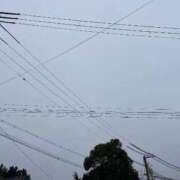 ヒメ日記 2025/12/04 09:11 投稿 梓らん コウテイ