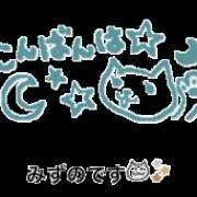 ヒメ日記 2024/04/08 19:46 投稿 水野つばき コウテイ