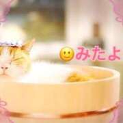 ヒメ日記 2024/12/09 10:30 投稿 優木こころ コウテイ