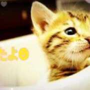 ヒメ日記 2024/12/10 10:57 投稿 優木こころ コウテイ