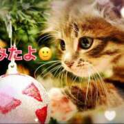 ヒメ日記 2024/12/17 17:17 投稿 優木こころ コウテイ