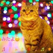 ヒメ日記 2024/12/23 13:23 投稿 優木こころ コウテイ