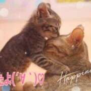 ヒメ日記 2024/12/29 11:01 投稿 優木こころ コウテイ