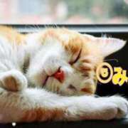 ヒメ日記 2025/01/23 21:55 投稿 優木こころ コウテイ