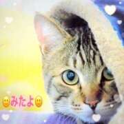 ヒメ日記 2025/01/26 13:02 投稿 優木こころ コウテイ