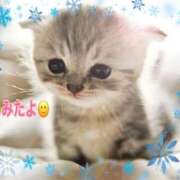 ヒメ日記 2025/01/28 10:01 投稿 優木こころ コウテイ