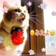 ヒメ日記 2025/02/01 11:05 投稿 優木こころ コウテイ