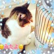 ヒメ日記 2025/02/04 20:21 投稿 優木こころ コウテイ